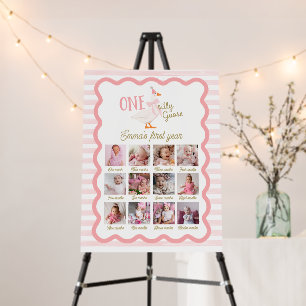 One Silly Goose 1st Birthday Photo Sign