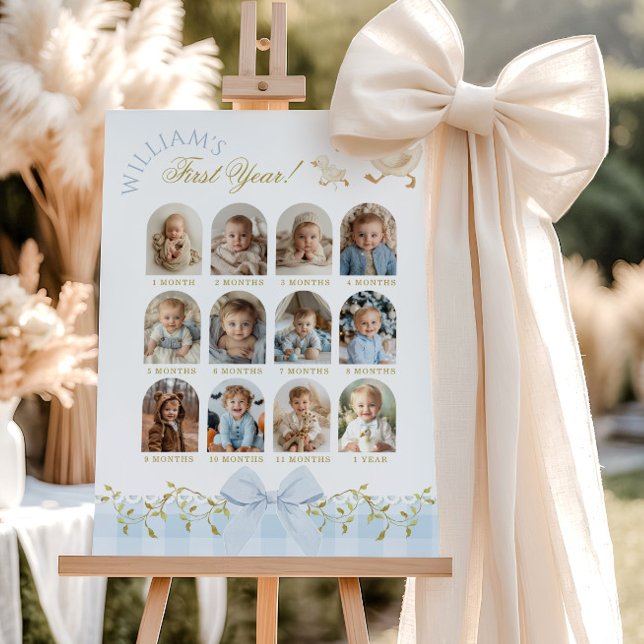 One Silly Goose Boy 1st Birthday Photo Milestone Foam Board (Creator Uploaded)