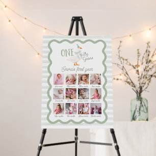 One Silly Goose Green Bow 12 Month Photo Sign