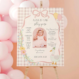 One Silly Goose Milestone Goose 1st Birthday Sign