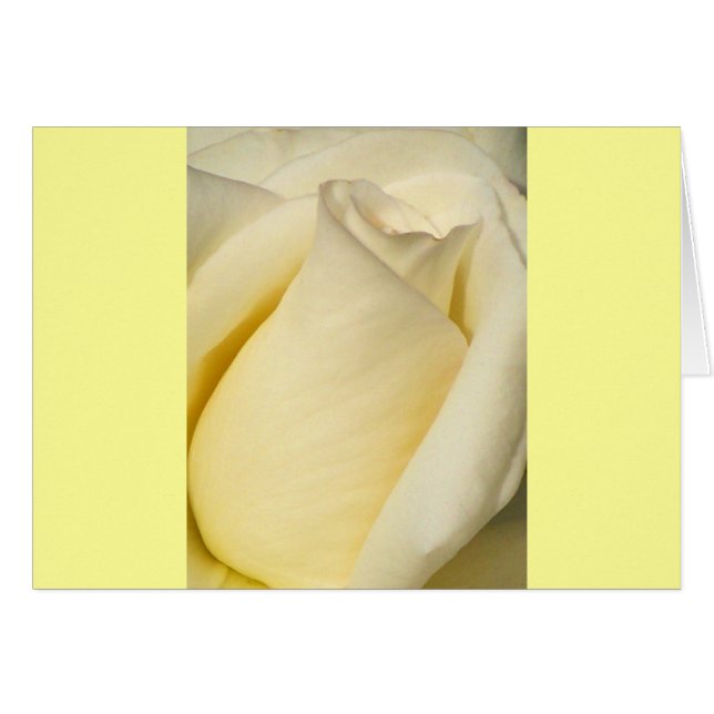 One Single Rose_ Cards (Front Horizontal)