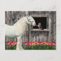 "One Spring Morning" Postcard