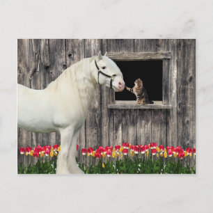 "One Spring Morning" Postcard