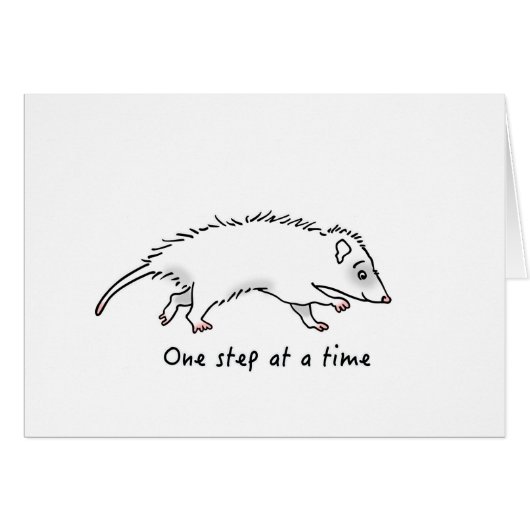One Step Possum Cards (Front Horizontal)