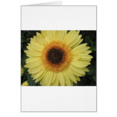 One Sunburst Flower (Front)