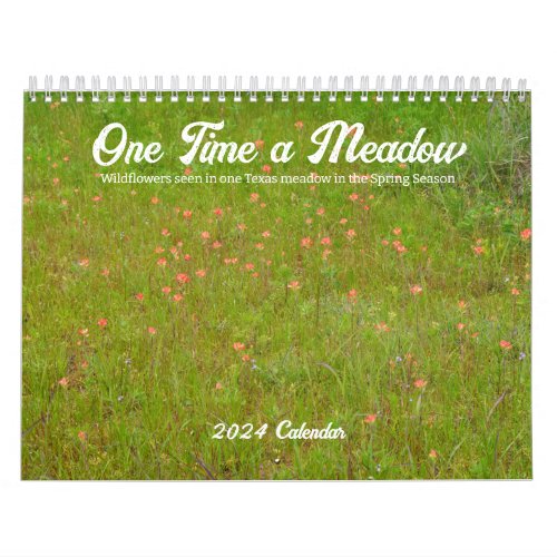One Time A Meadow Wildflowers 2024 Calendar