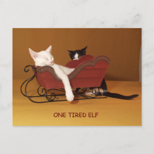 One Tired Elf Humor Christmas Post Card