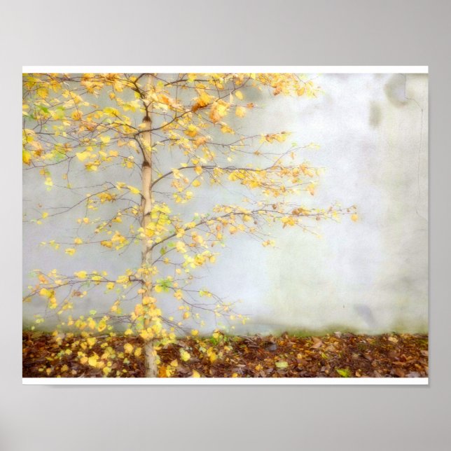 One Tree Poster (Front)