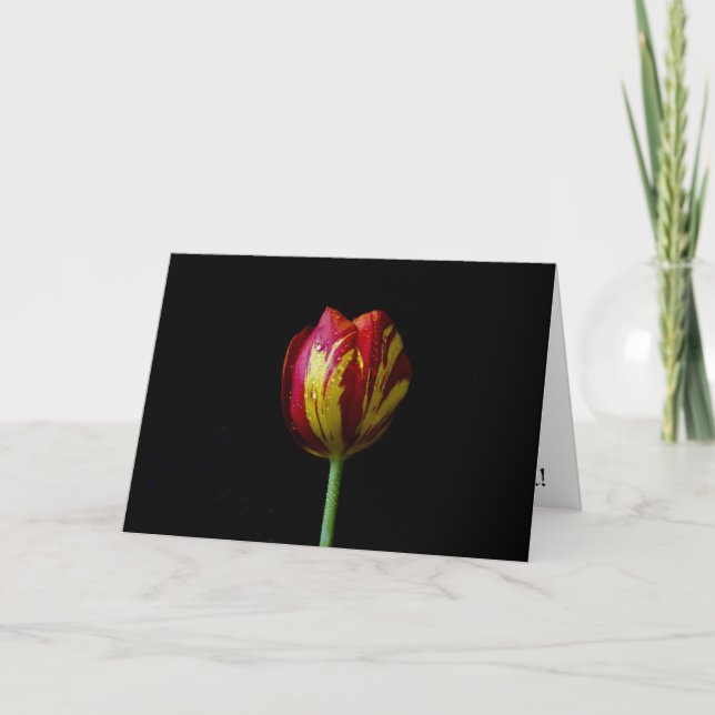 One Tulip - Card (Front)