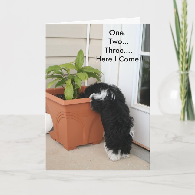 One two three Card (Front)