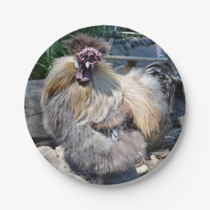 One Ugly Fluffy Chicken, Paper Plates