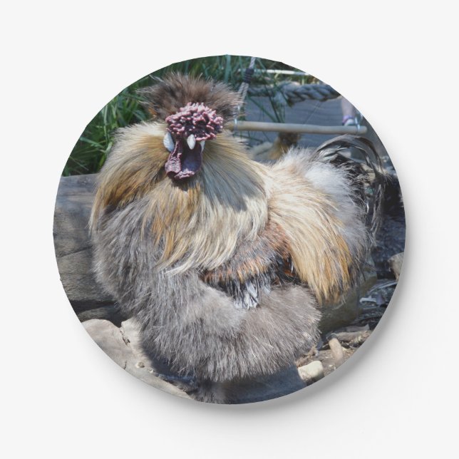 One Ugly Fluffy Chicken,  Paper Plates (Front)