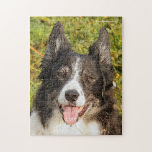 One Very Friendly Border Collie Jigsaw Puzzle