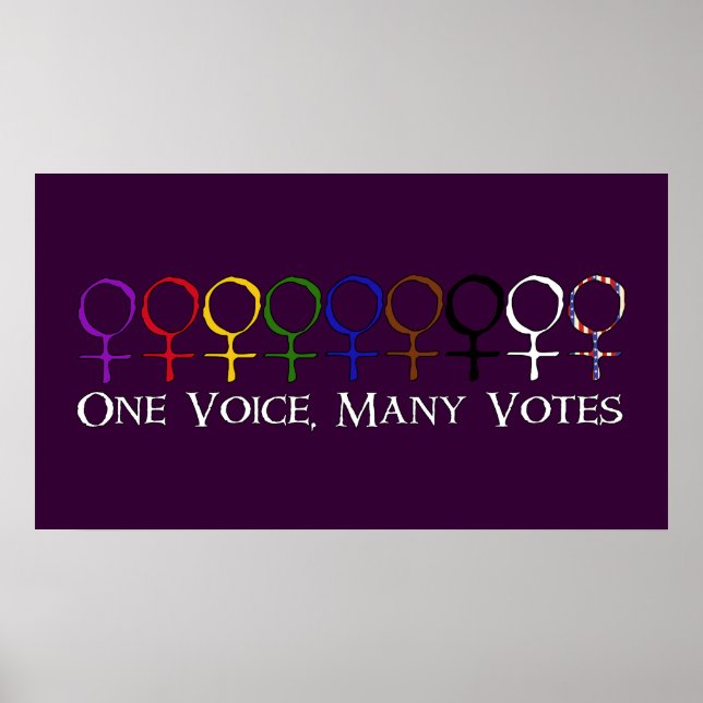 One Voice, Many Votes Poster (Front)