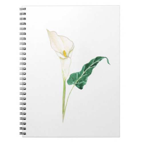 one white calla lily watercolor notebook