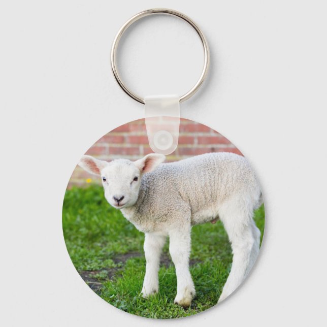 One white newborn lamb standing in green grass keychain (Front)