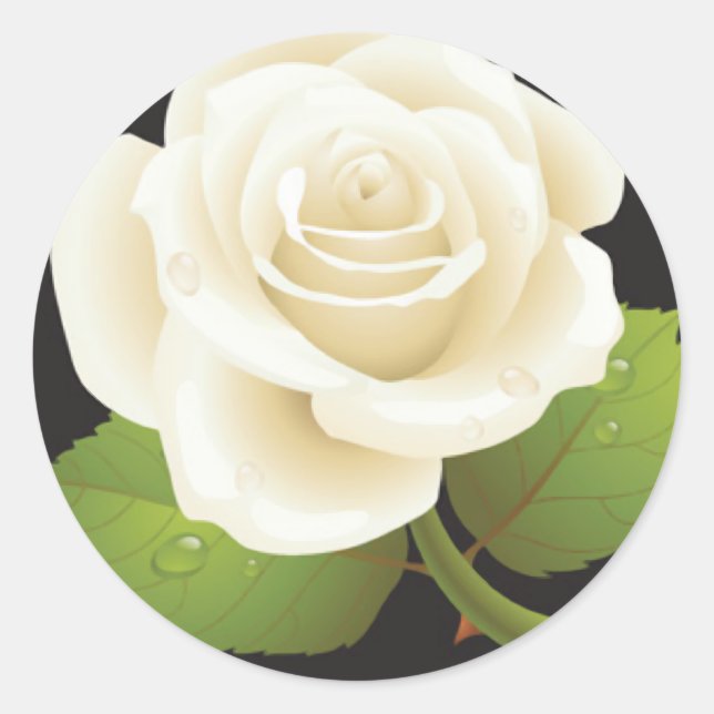 One White Rose Classic Round Sticker (Front)