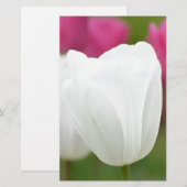 One White Tulip (Front/Back)