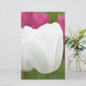 One White Tulip (Standing Front)