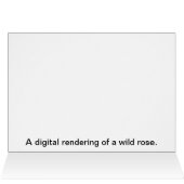 One Wild Rose Cards (Inside Horizontal (Top))