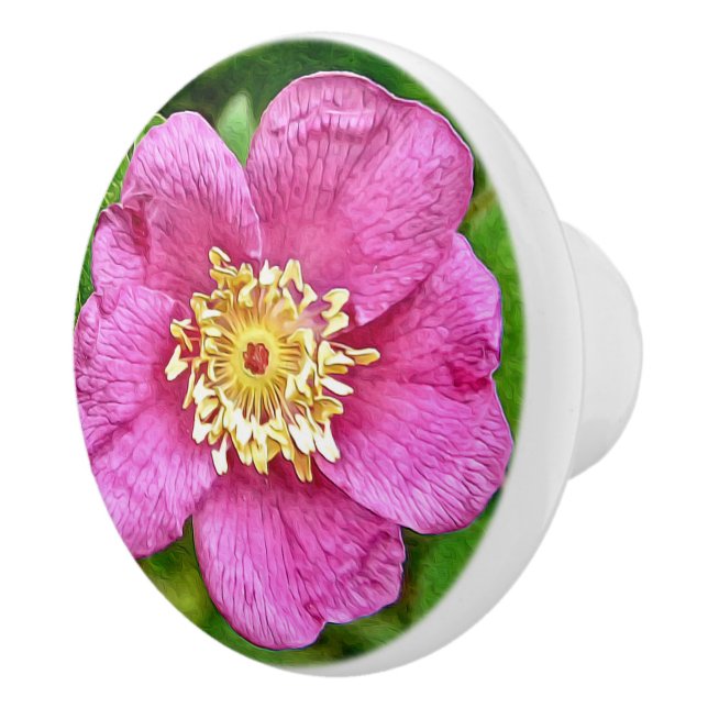 One Wild Rose Ceramic Knob (Right)