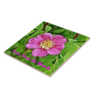 One Wild Rose Ceramic Tile