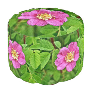 One Wild Rose Pouf