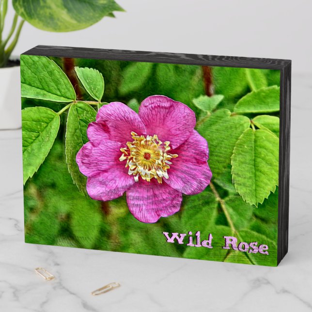 One Wild Rose Wooden Box Sign (In Situ Horizontal)