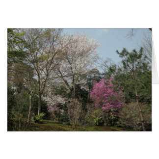 One Word that Brings Peace Cards