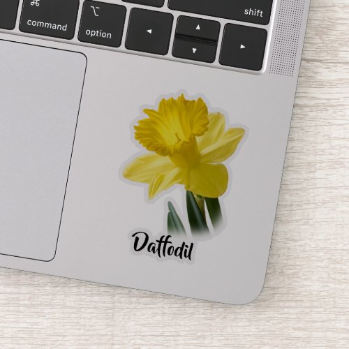 One Yellow Daffodil Spring Floral Photography Sticker