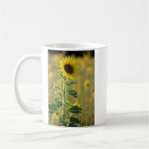 One Yellow Sunflower Photograph