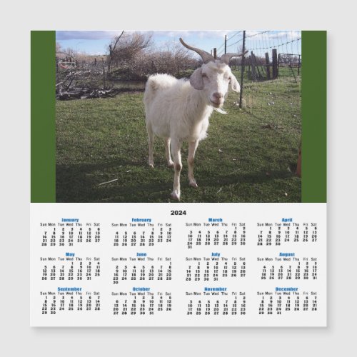 One Young Goat 2024 Calendar Card