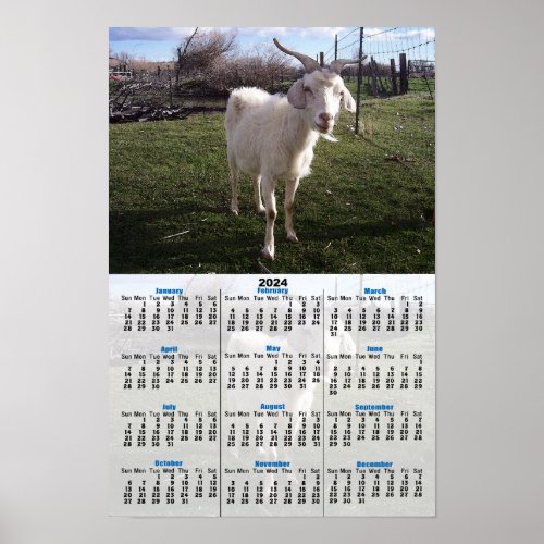 One Young Goat 2024 Calendar Poster