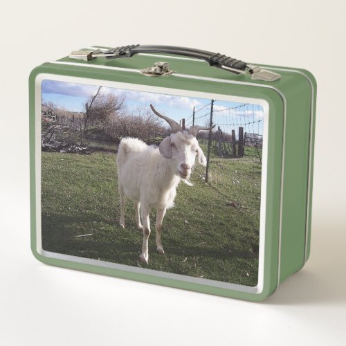 One Young Goat Metal Lunch Box