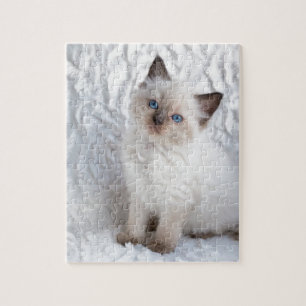 One young ragdoll cat sitting on fur in chair jigsaw puzzle