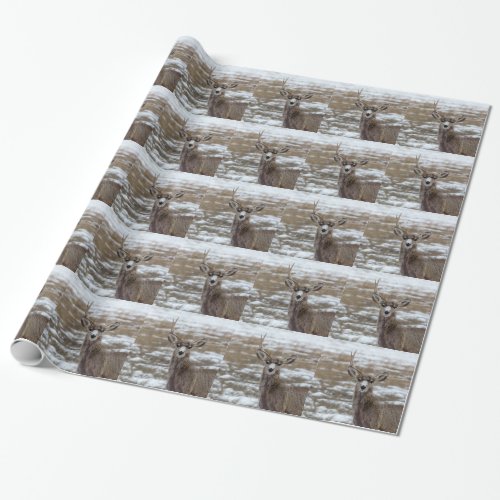 OneAntlerDeerjpg Wrapping Paper