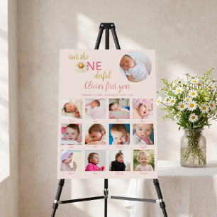 ONEderful 12 Month Photo Board Daisy 1st Birthday