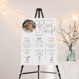 Onederful Pink First Birthday Milestones Sign