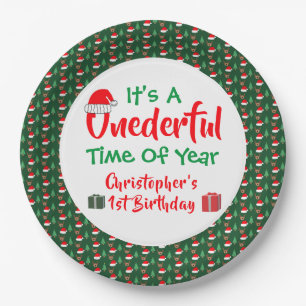 Onederful Year 1st Birthday Paper Plates