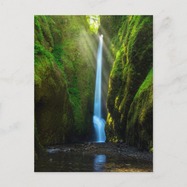 Oneonta Falls Postcard (Front)