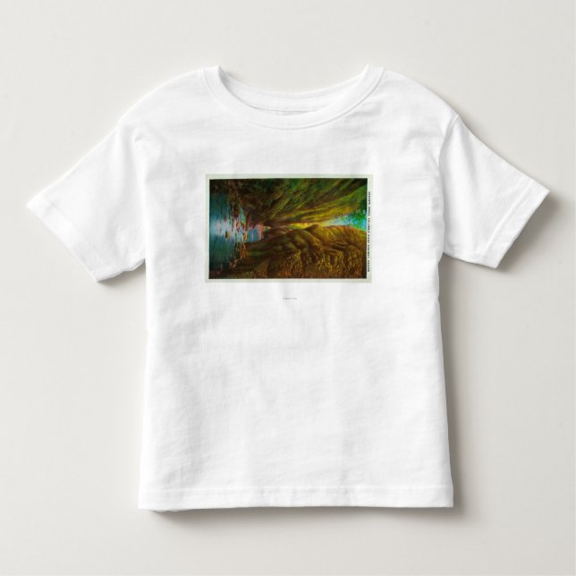 Oneonta Gorge in Columbia River Gorge Toddler T-shirt (Front)