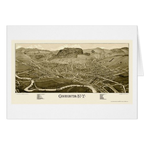 Oneonta NY Panoramic Map _ 1884