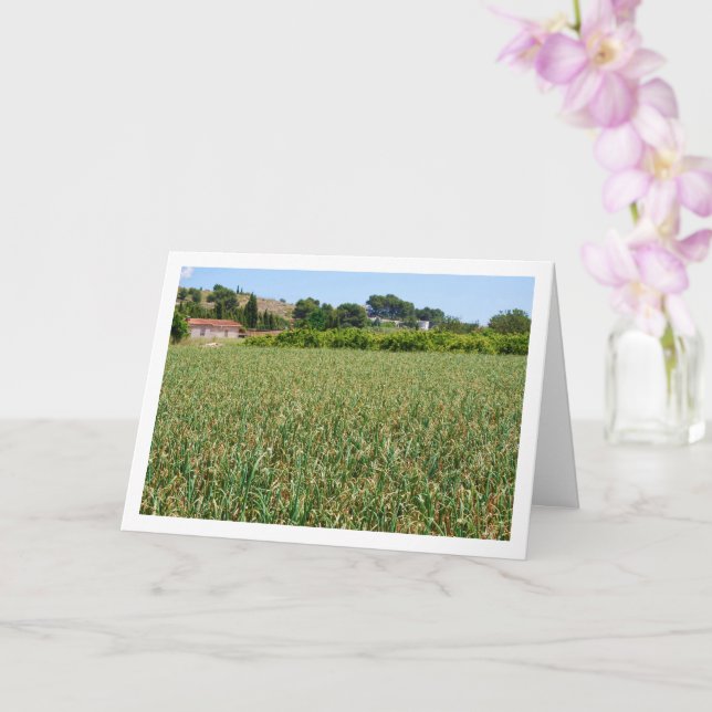 Onion Field Landscape Card (Orchid)