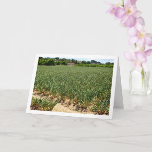 Onion Field Landscape Card