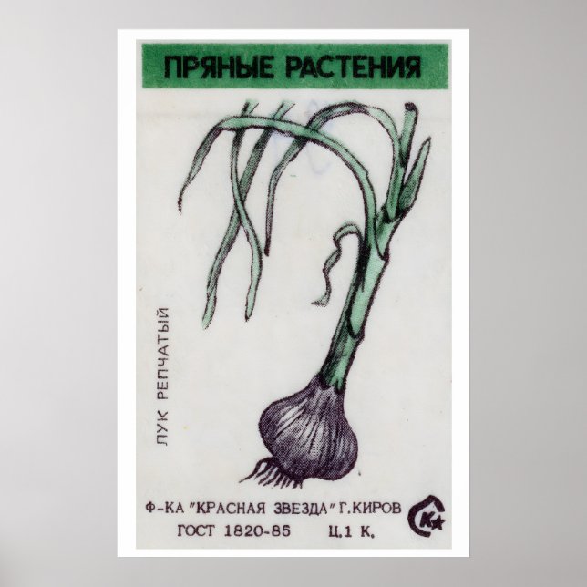 Onion Plant - Matchbox Print - Aesthetic Wall Art (Front)