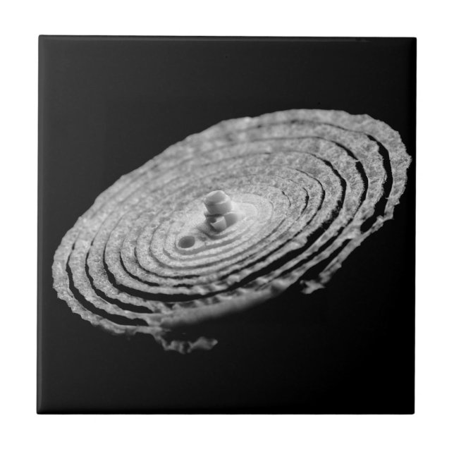 Onion Portrait Ceramic Tile (Front)