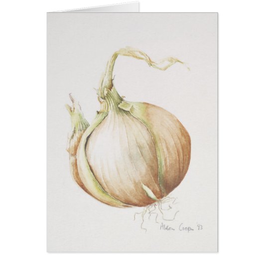 Onion Study 1993 (Front)