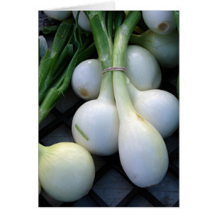 Onions at the Farmer's Market Cards