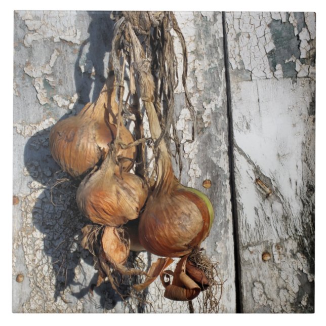 ONIONS CERAMIC TILE (Front)