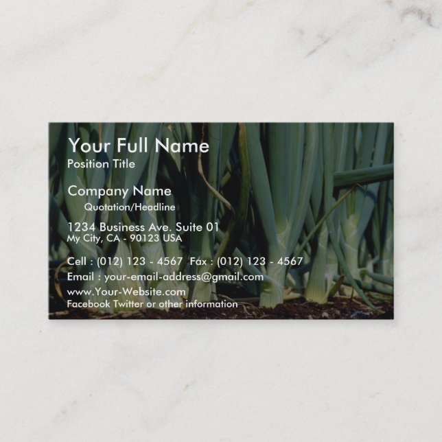 Onions, Grand Bend, Ontario, Canada Business Card (Front)